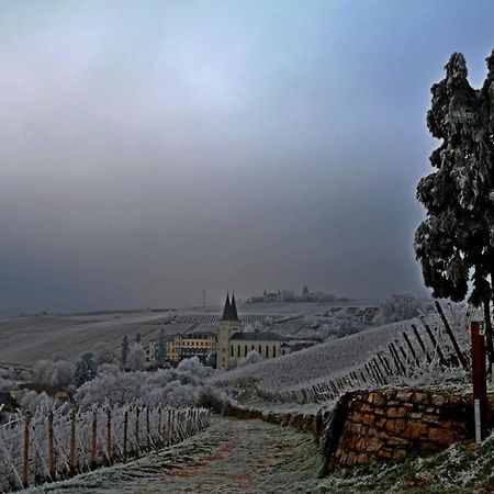 شقة Auszeit Rheingauer Rosengasse Johannisberg المظهر الخارجي الصورة
