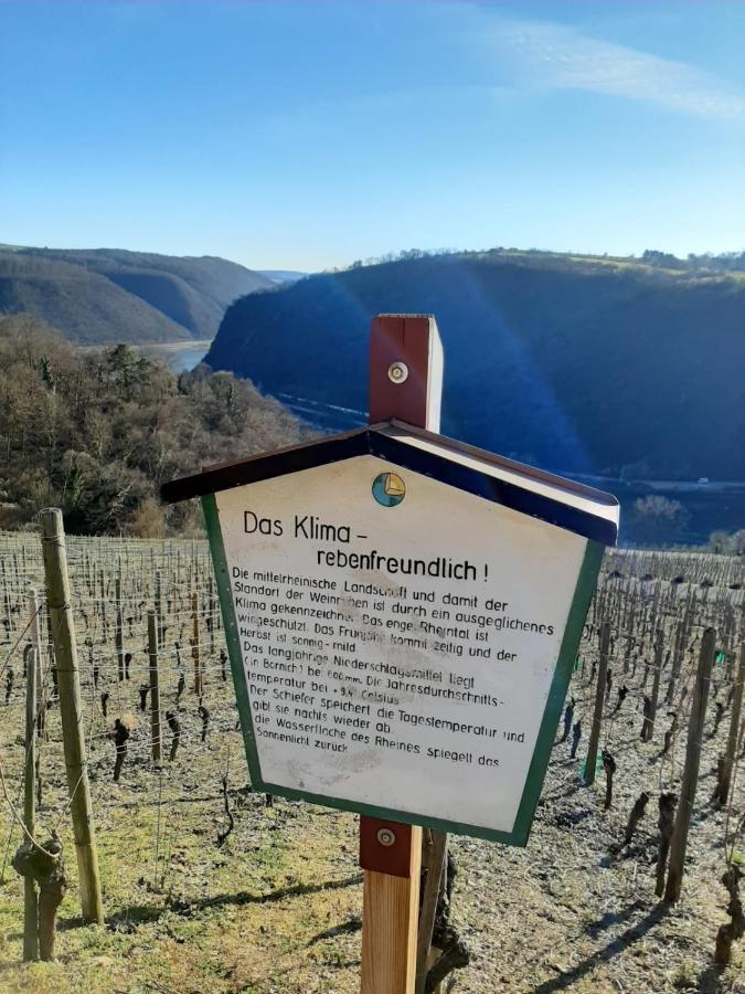 شقة Auszeit Rheingauer Rosengasse Johannisberg المظهر الخارجي الصورة