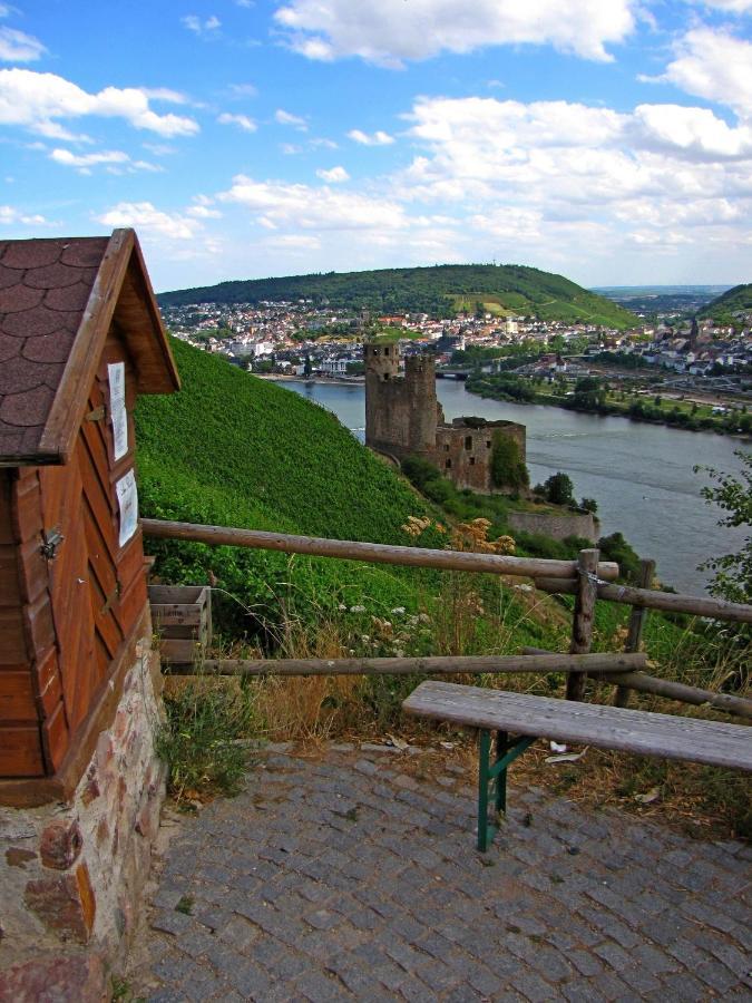 شقة Auszeit Rheingauer Rosengasse Johannisberg المظهر الخارجي الصورة