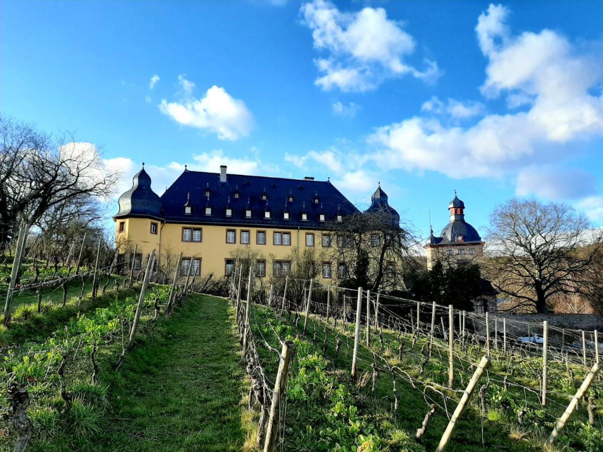 شقة Auszeit Rheingauer Rosengasse Johannisberg المظهر الخارجي الصورة
